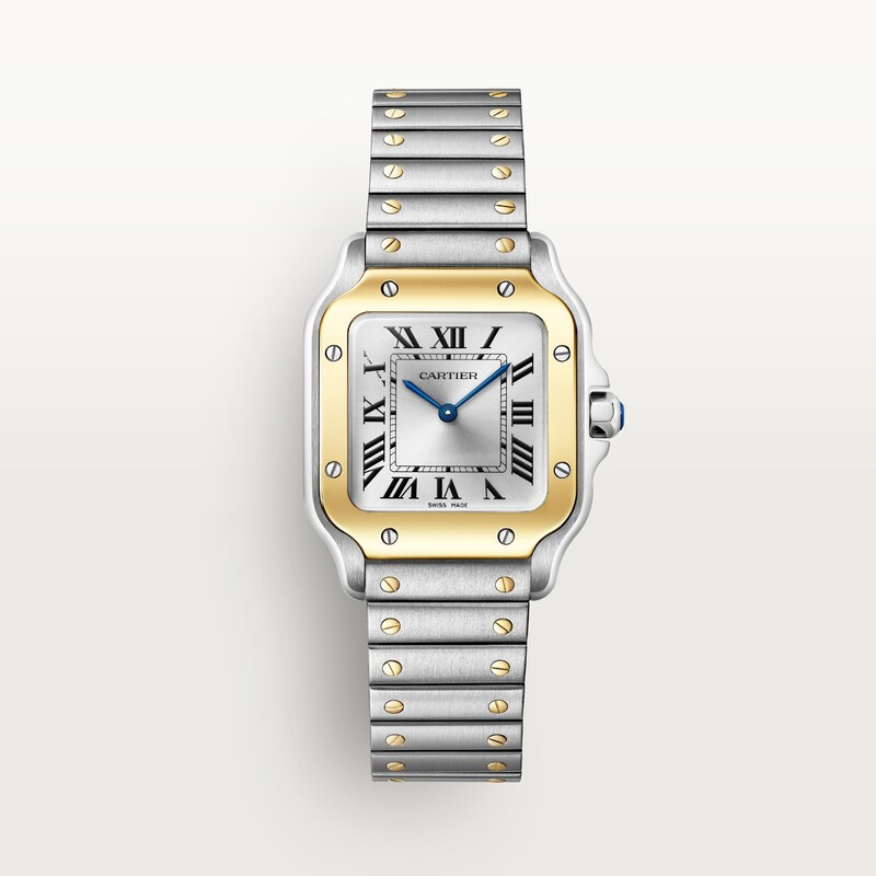 Cartier Santos de Cartier W2SA0033